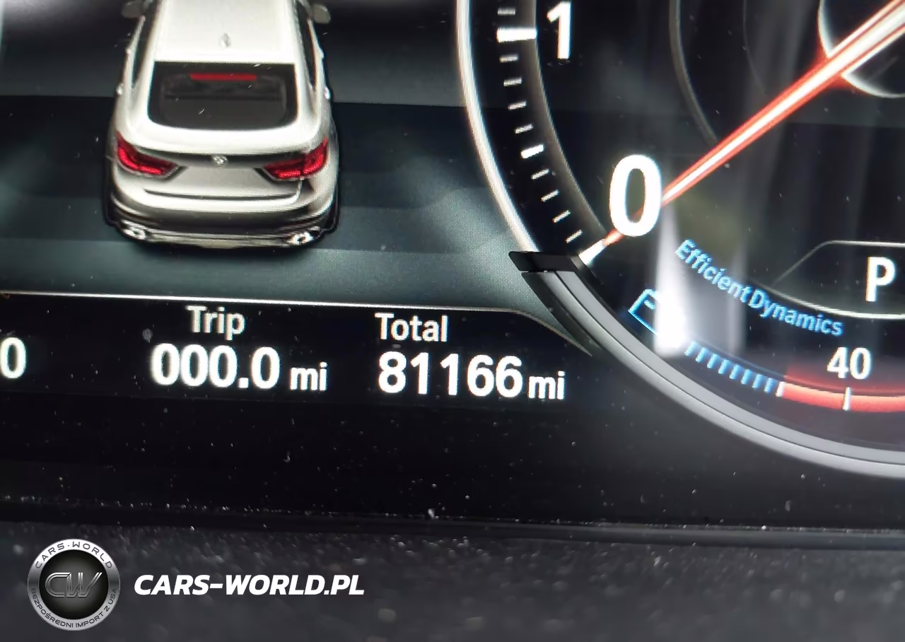 2019 BMW X6 Sdrive35I VIN:5UXKU0C50K0H98802 - 16