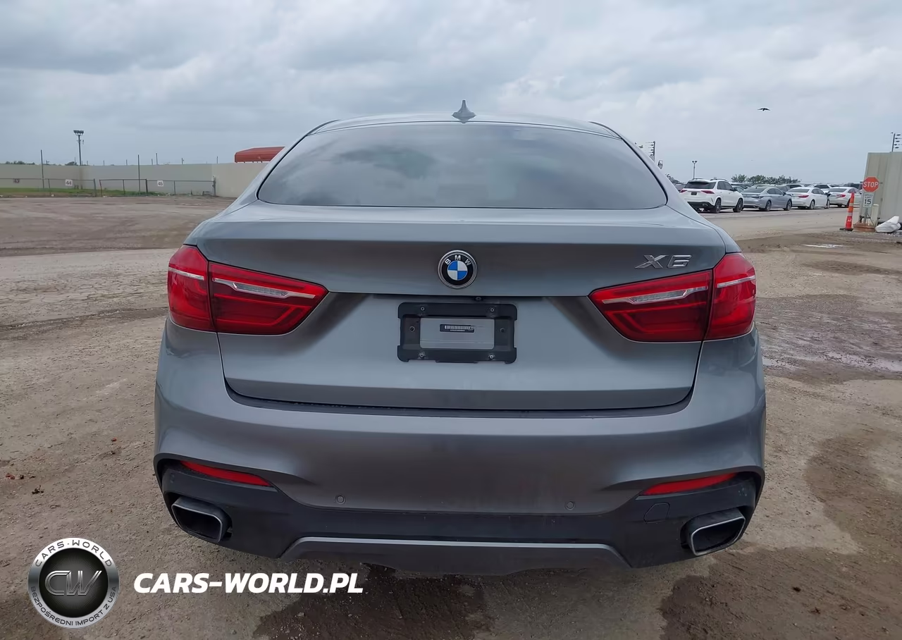 2019 BMW X6 Sdrive35I VIN:5UXKU0C50K0H98802 - 17