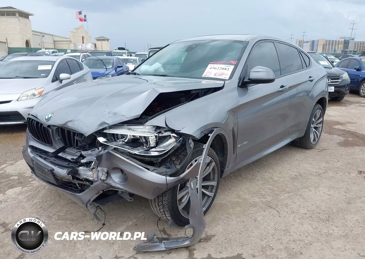 2019 BMW X6 Sdrive35I VIN:5UXKU0C50K0H98802 - 2