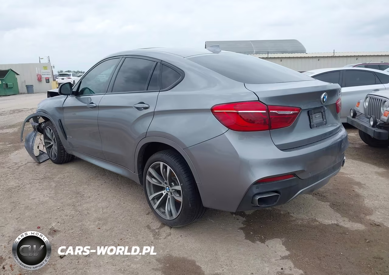 2019 BMW X6 Sdrive35I VIN:5UXKU0C50K0H98802 - 3