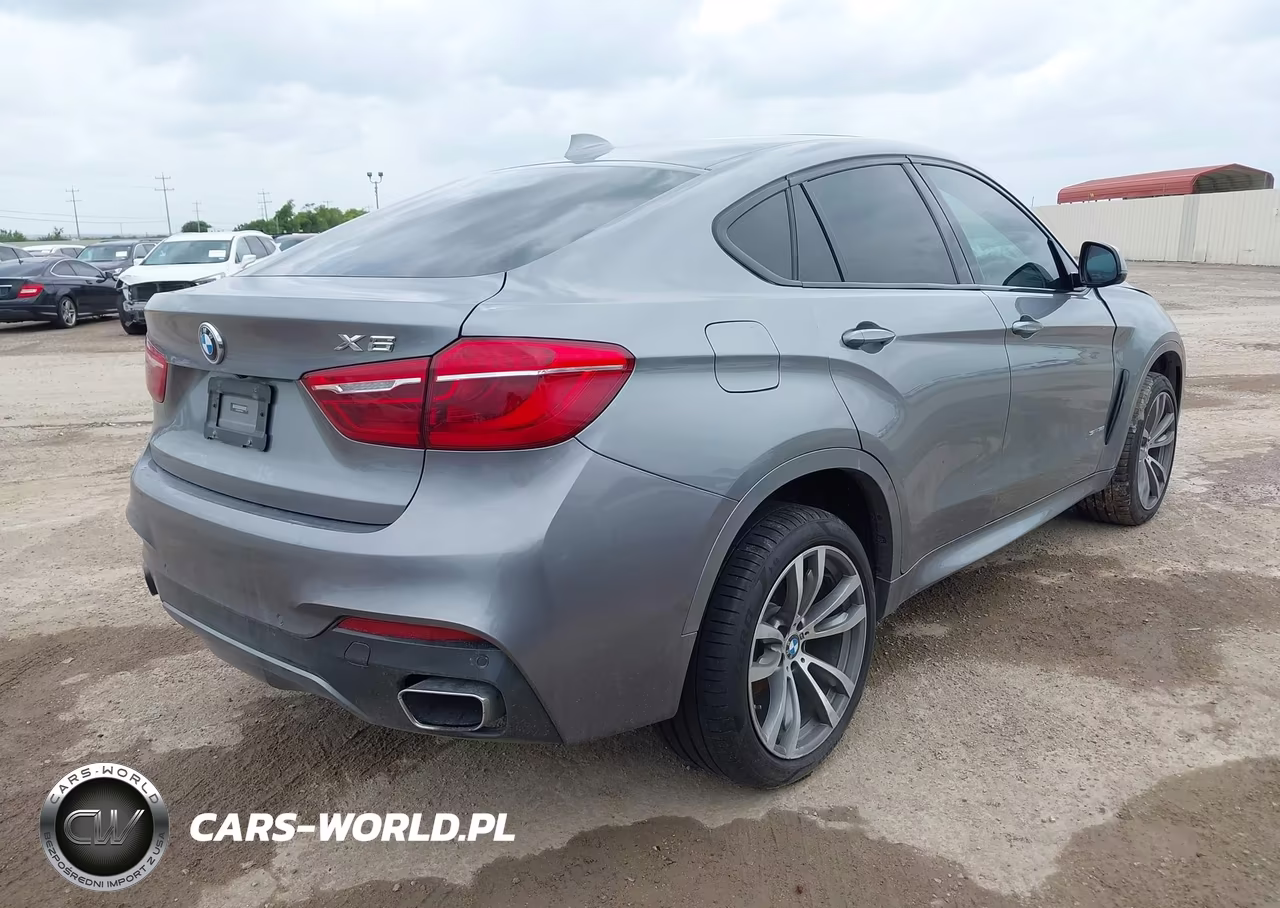 2019 BMW X6 Sdrive35I VIN:5UXKU0C50K0H98802 - 4