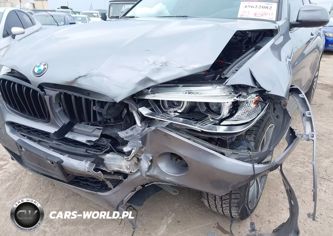 2019 BMW X6 Sdrive35I VIN:5UXKU0C50K0H98802 - 6