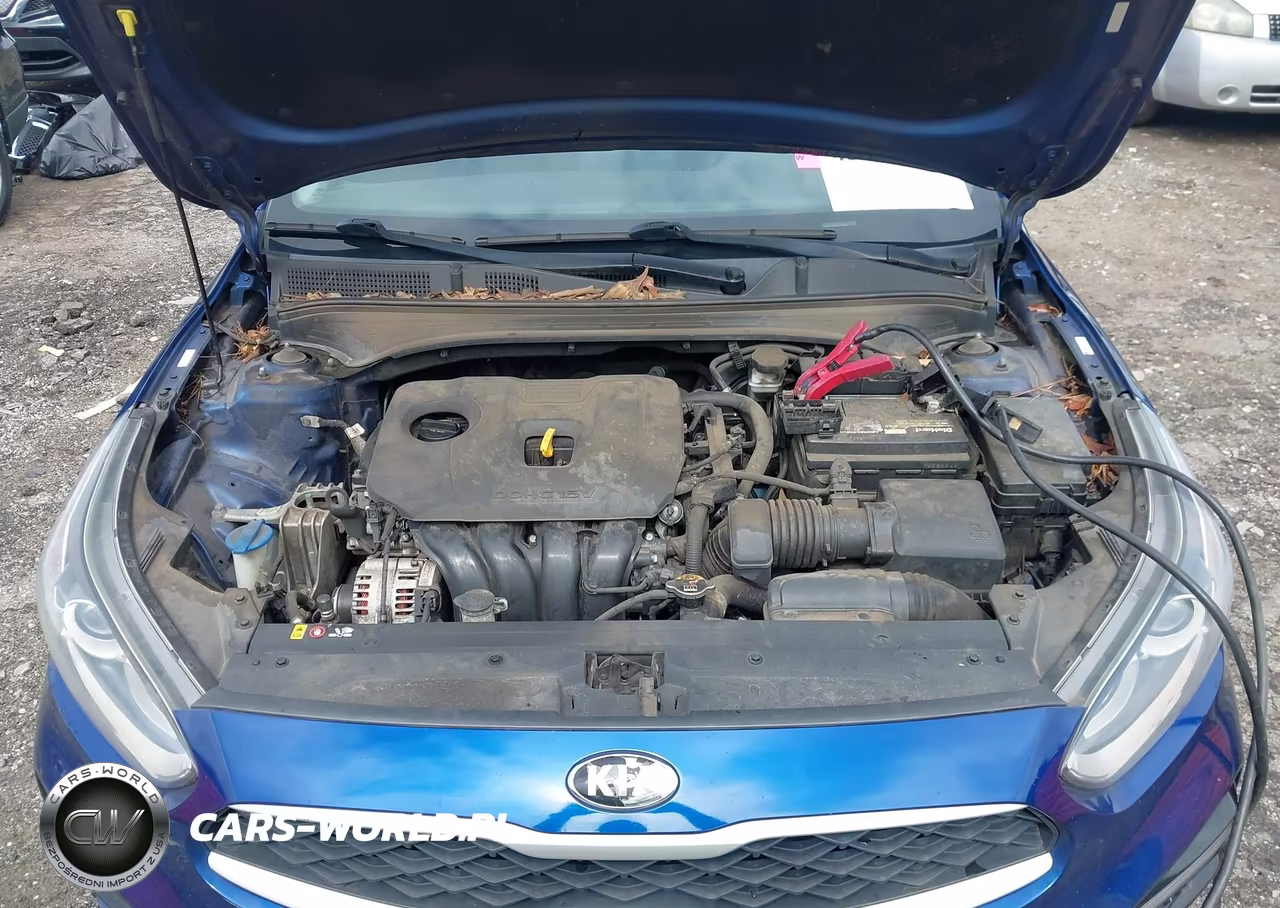 2019 Kia Forte Lxs VIN:3KPF24AD3KE026888 - 10