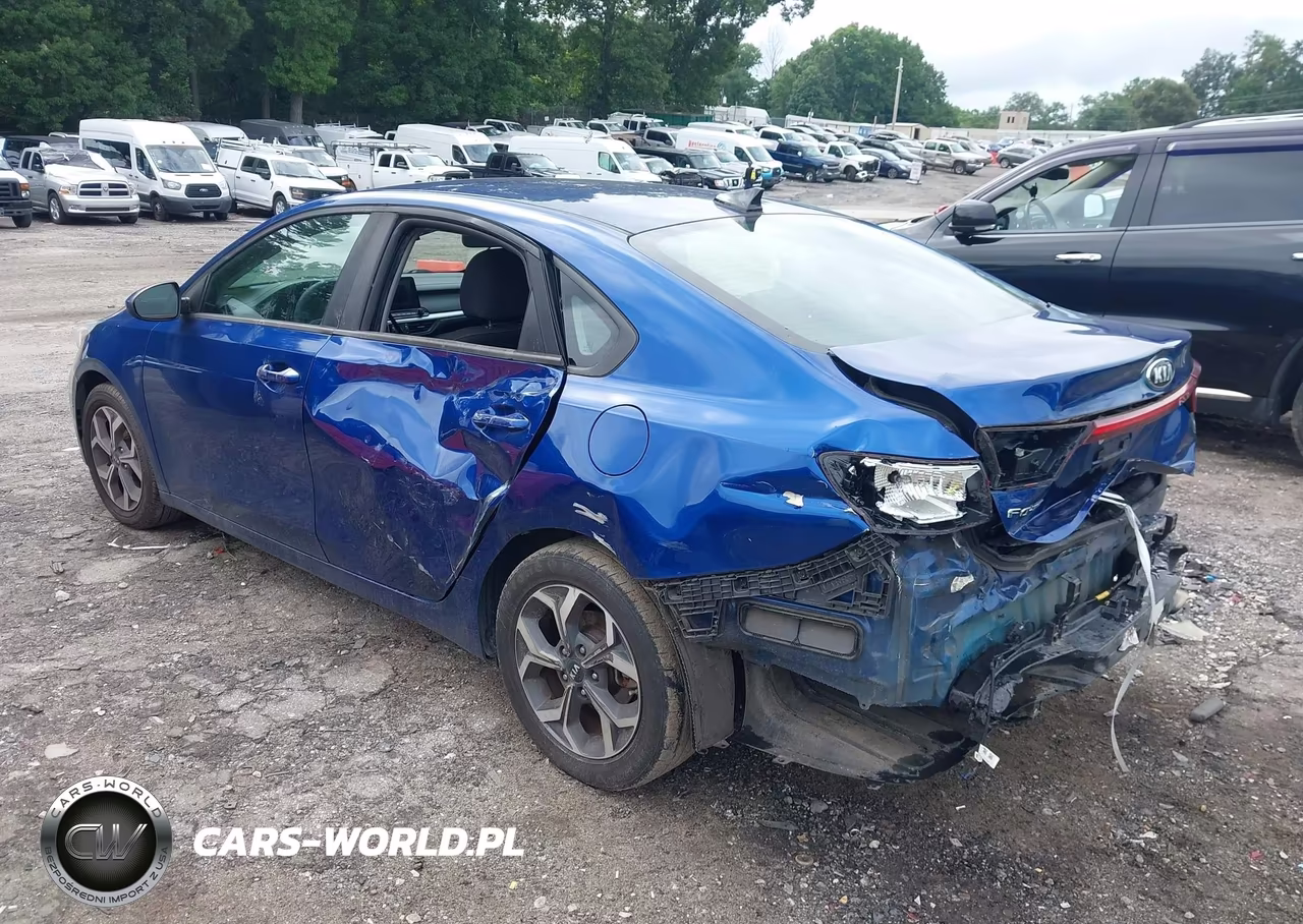 2019 Kia Forte Lxs VIN:3KPF24AD3KE026888 - 3