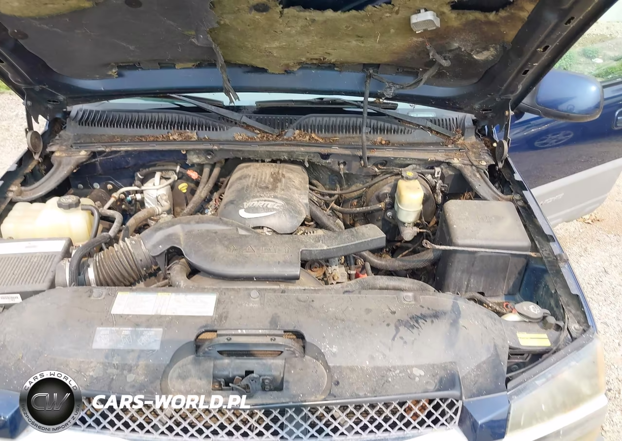 2002 Chevrolet Avalanche 1500 VIN:3GNEK13T32G344701 - 10