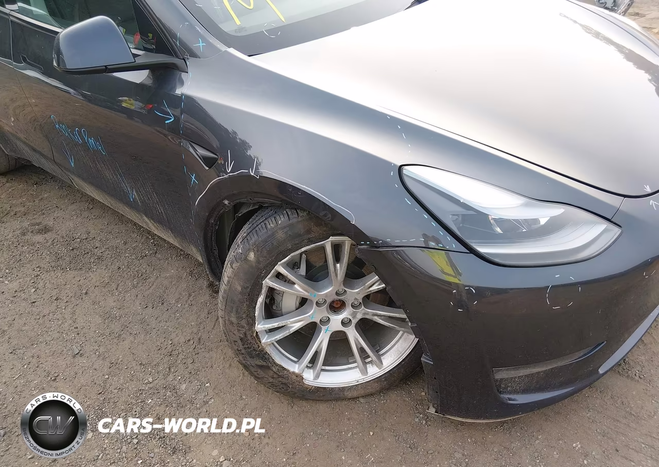 2024 Tesla Model Y Long Range Dual Motor All-Wheel Drive VIN:7SAYGDEE7RA221152 - 6