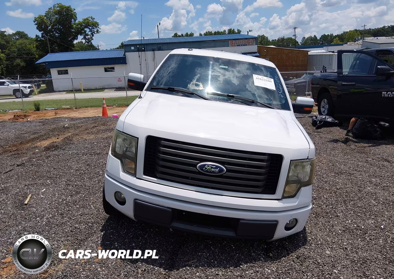 2010 Ford F-150 Fx2 Sport-Xl-Xlt VIN:1FTEW1C89AKE48139 - 13