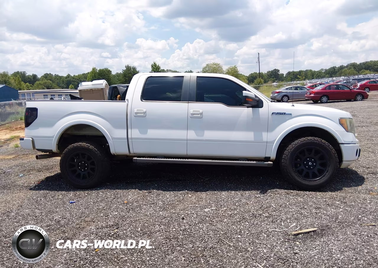 2010 Ford F-150 Fx2 Sport-Xl-Xlt VIN:1FTEW1C89AKE48139 - 14