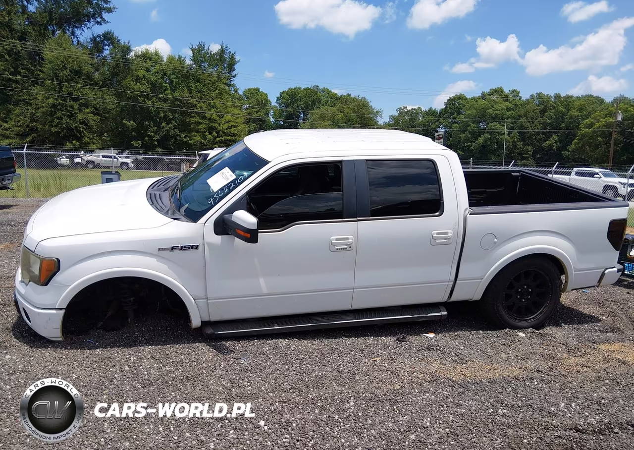 2010 Ford F-150 Fx2 Sport-Xl-Xlt VIN:1FTEW1C89AKE48139 - 15