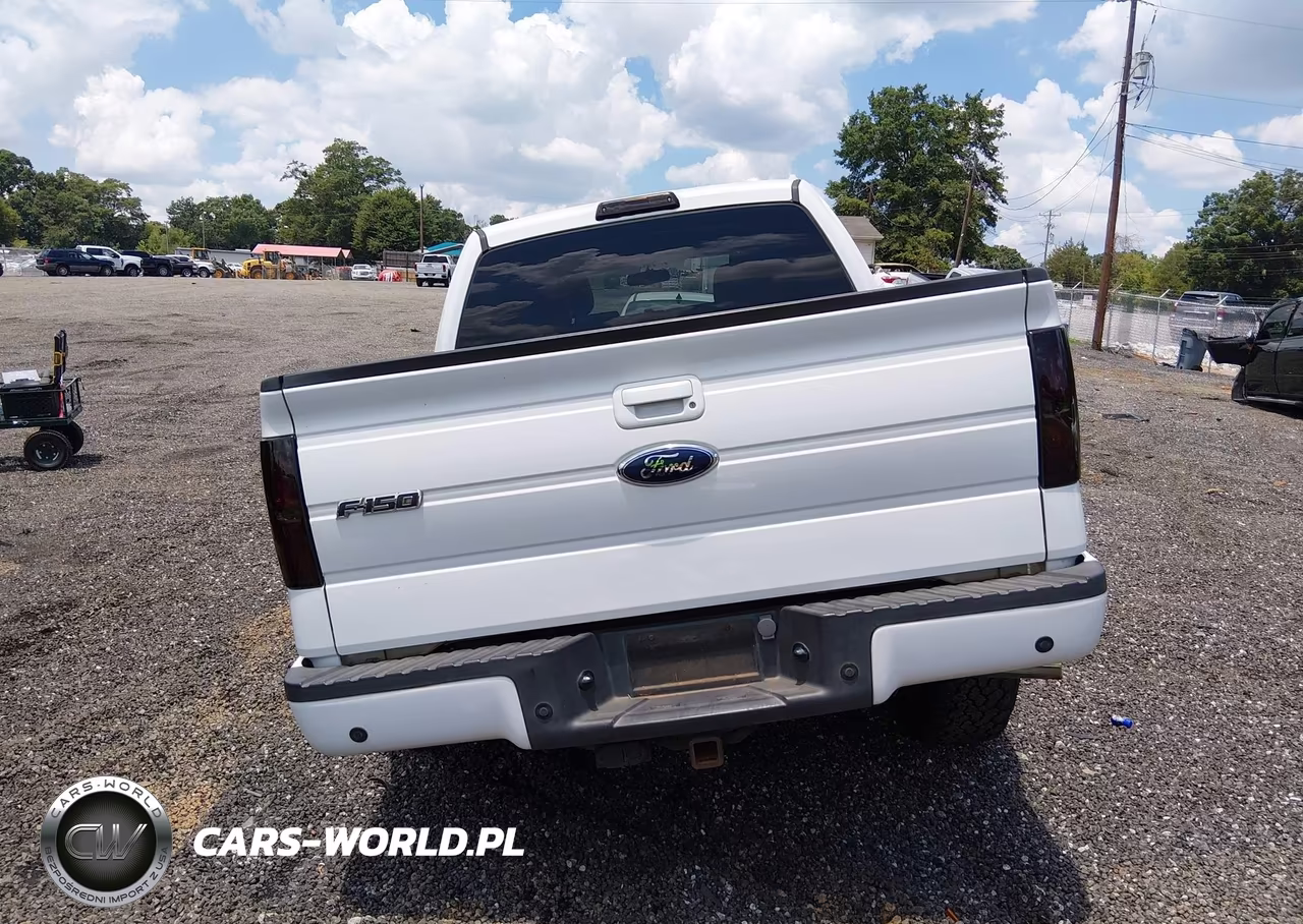 2010 Ford F-150 Fx2 Sport-Xl-Xlt VIN:1FTEW1C89AKE48139 - 17
