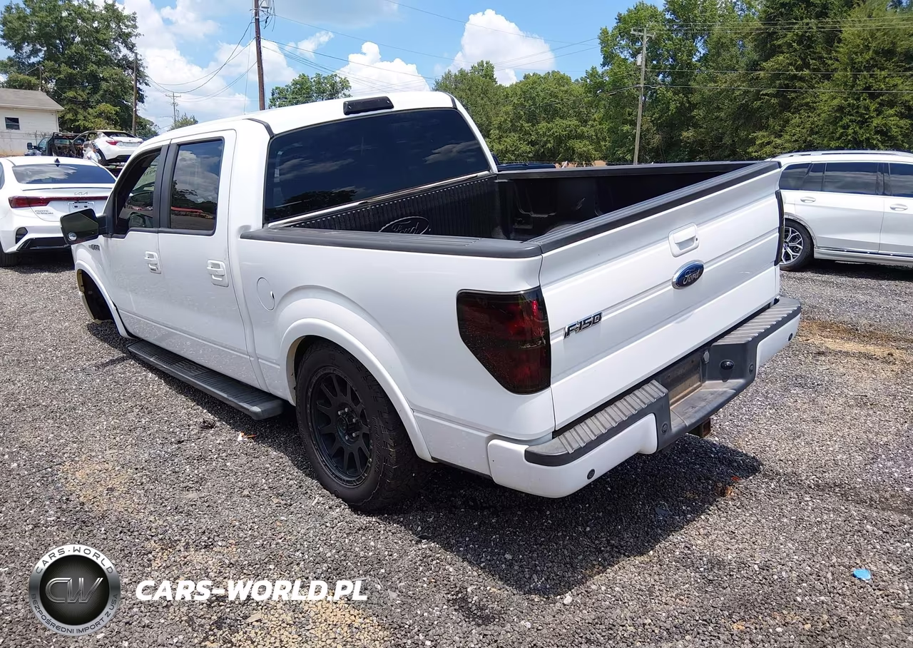 2010 Ford F-150 Fx2 Sport-Xl-Xlt VIN:1FTEW1C89AKE48139 - 3