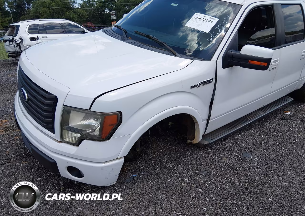 2010 Ford F-150 Fx2 Sport-Xl-Xlt VIN:1FTEW1C89AKE48139 - 6