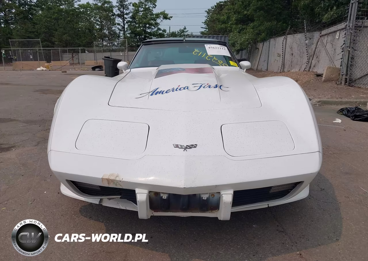 1979 Chev Corvette VIN:00001Z8749S416068 - 12