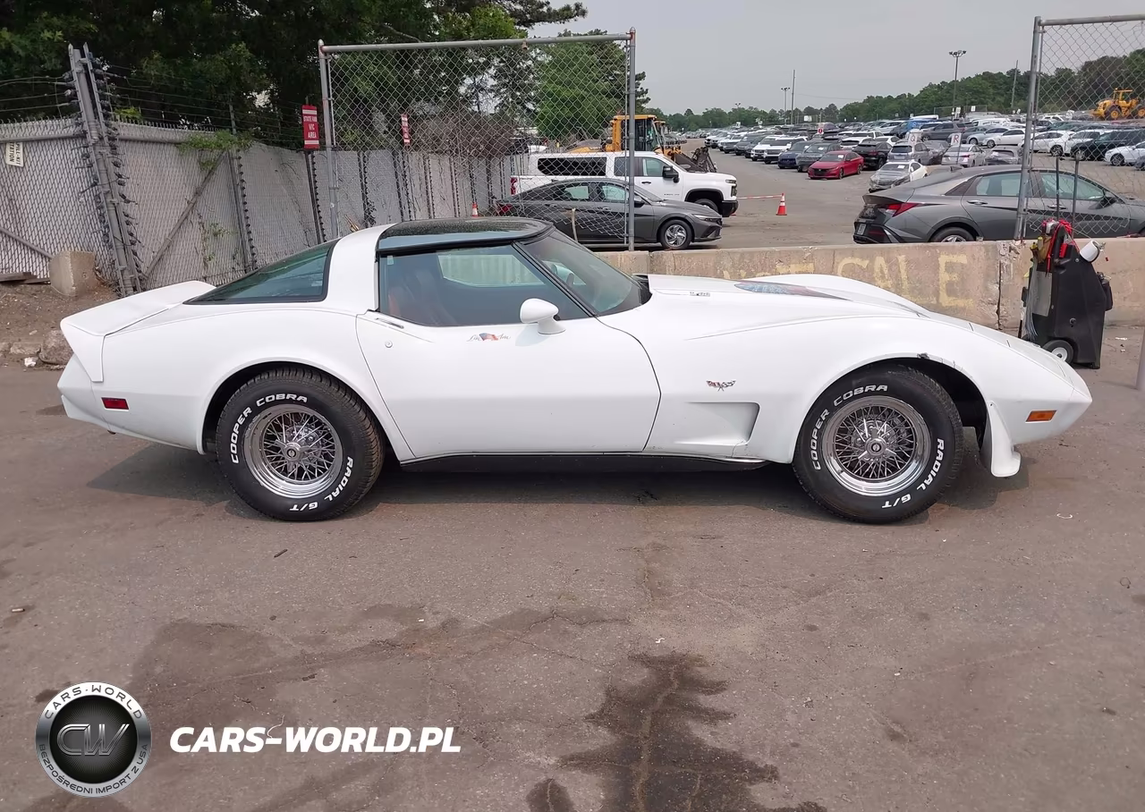 1979 Chev Corvette VIN:00001Z8749S416068 - 13