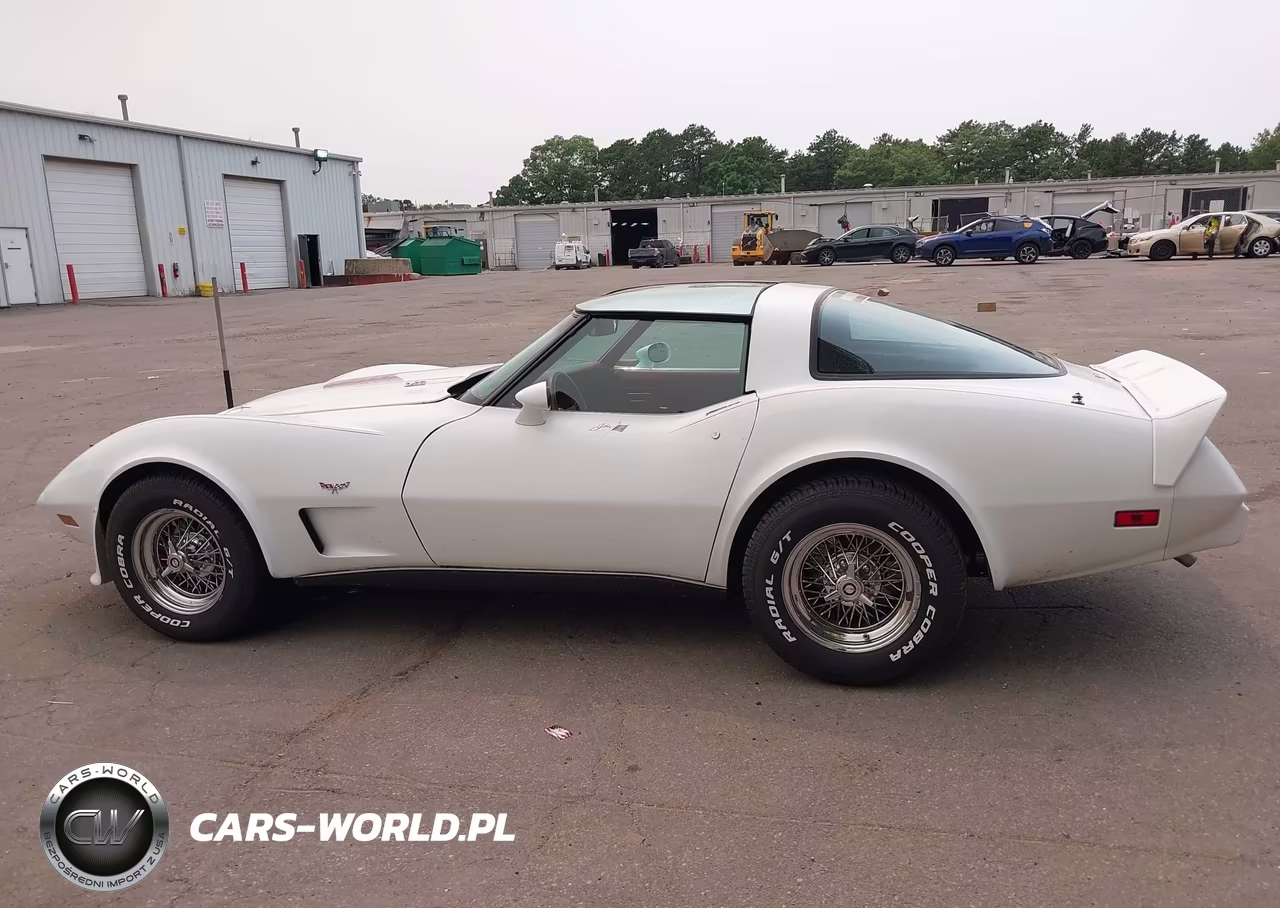 1979 Chev Corvette VIN:00001Z8749S416068 - 14