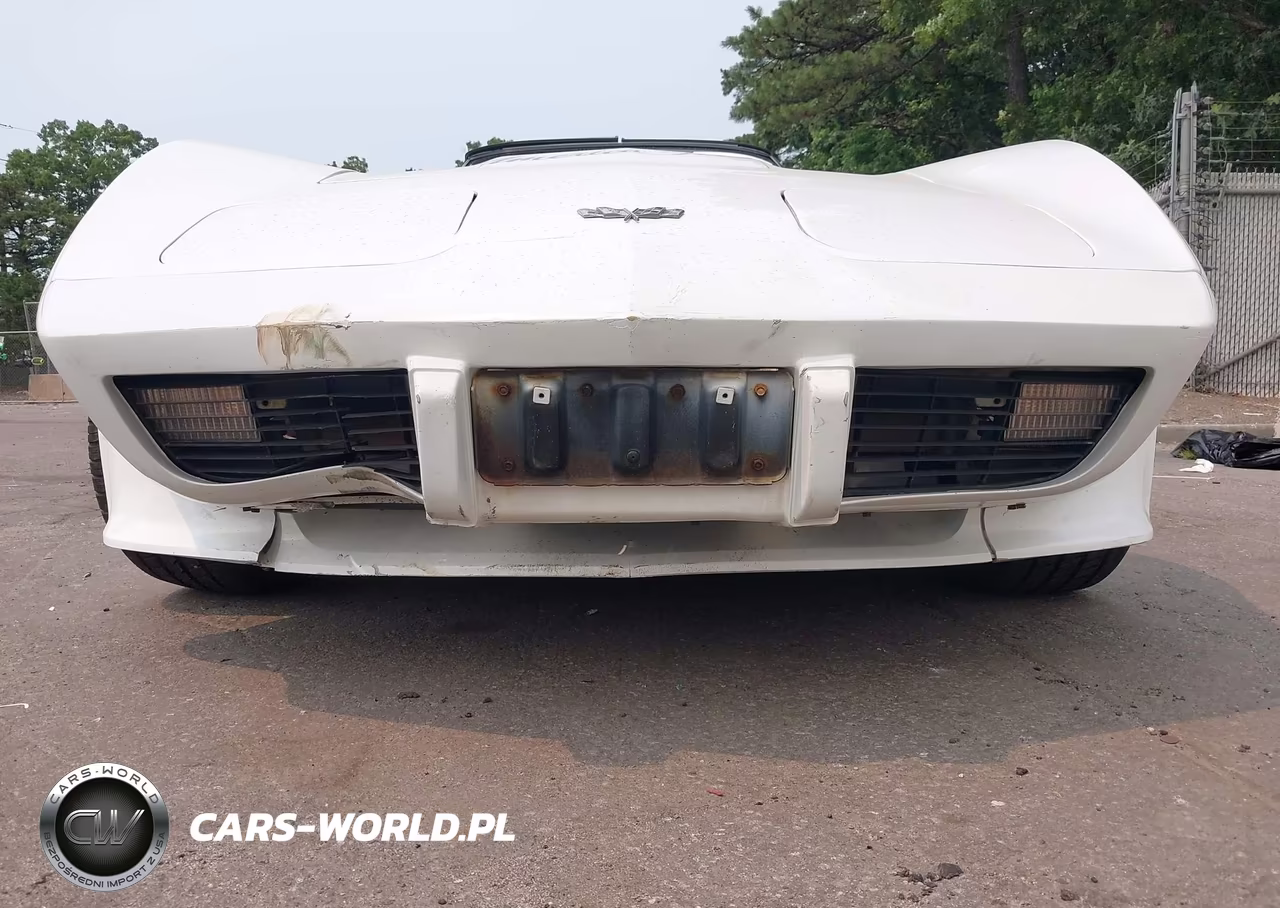 1979 Chev Corvette VIN:00001Z8749S416068 - 19