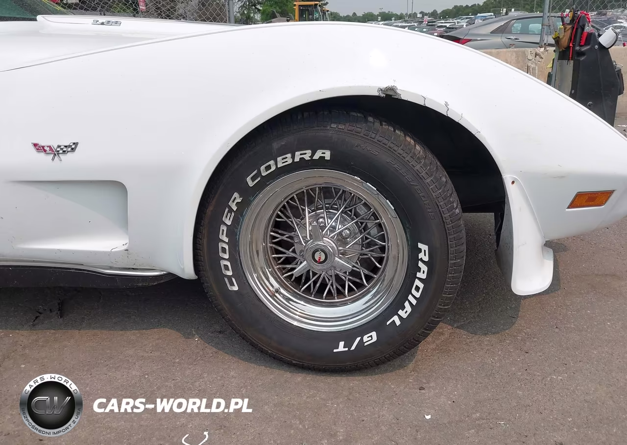 1979 Chev Corvette VIN:00001Z8749S416068 - 20