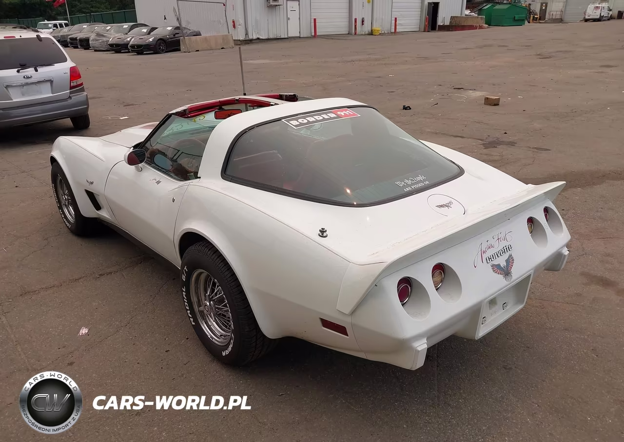1979 Chev Corvette VIN:00001Z8749S416068 - 3