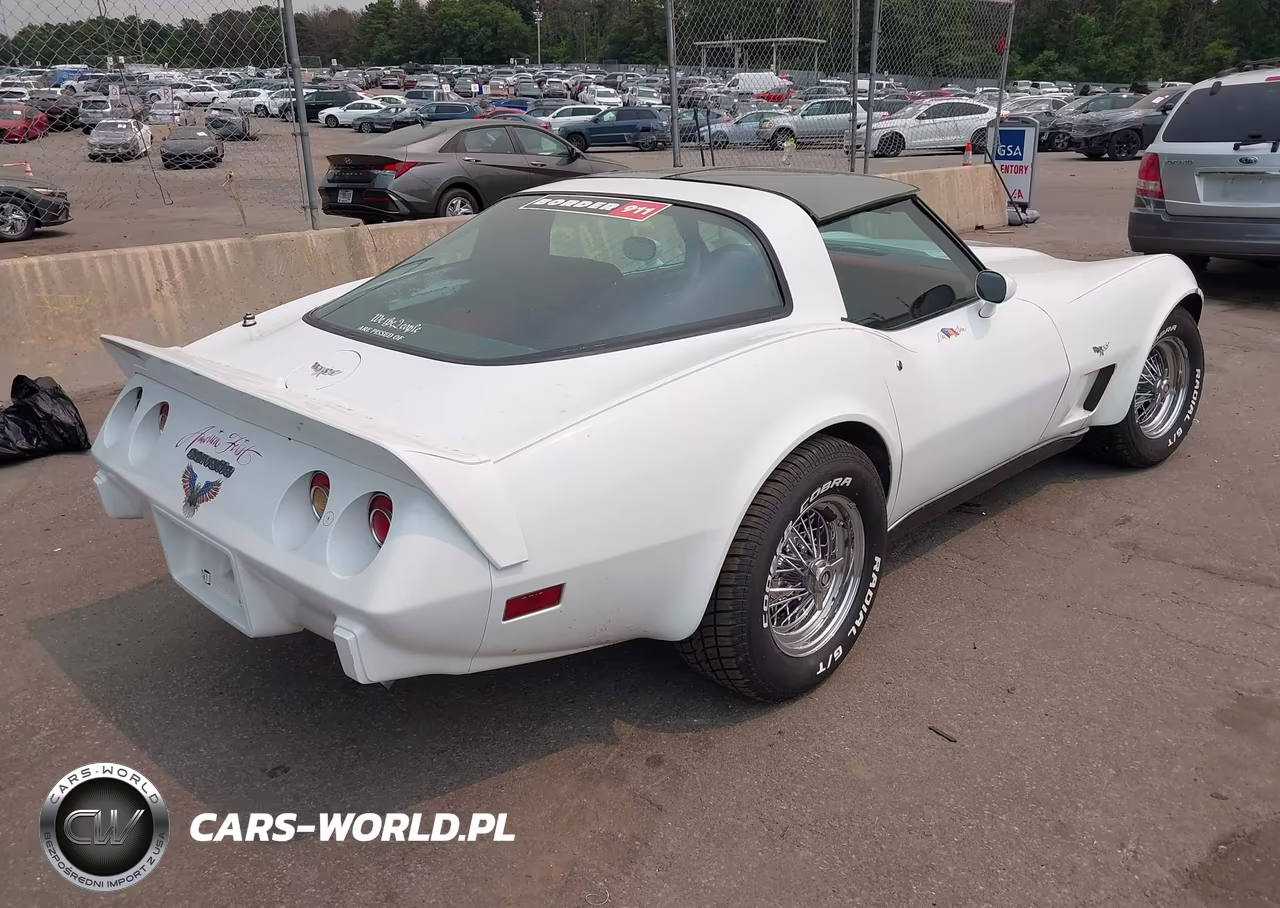 1979 Chev Corvette VIN:00001Z8749S416068 - 4