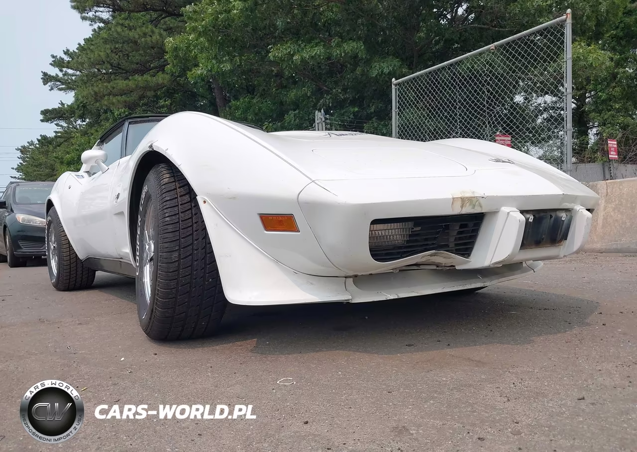 1979 Chev Corvette VIN:00001Z8749S416068 - 6