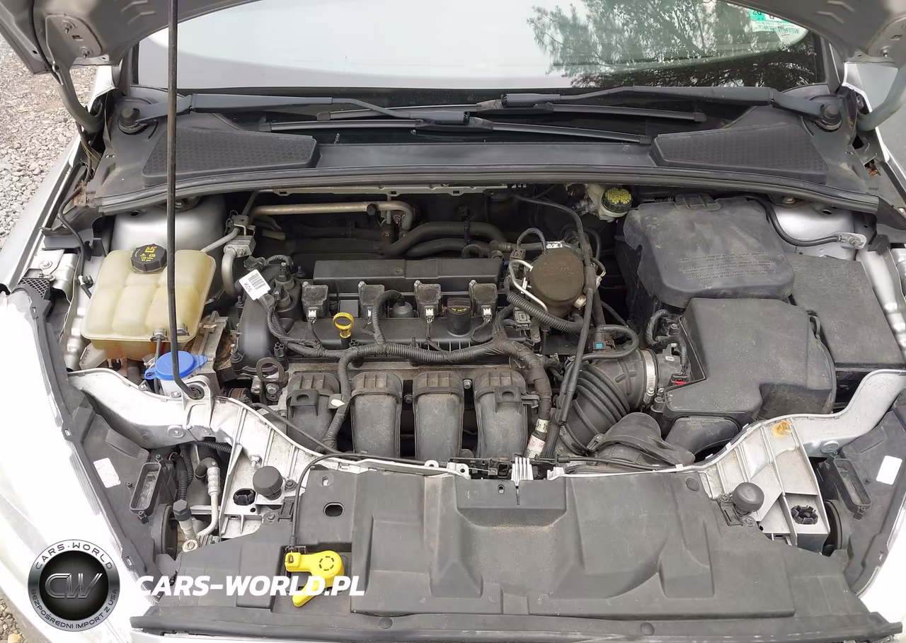 2016 Ford Focus Se VIN:1FADP3F27GL283129 - 10