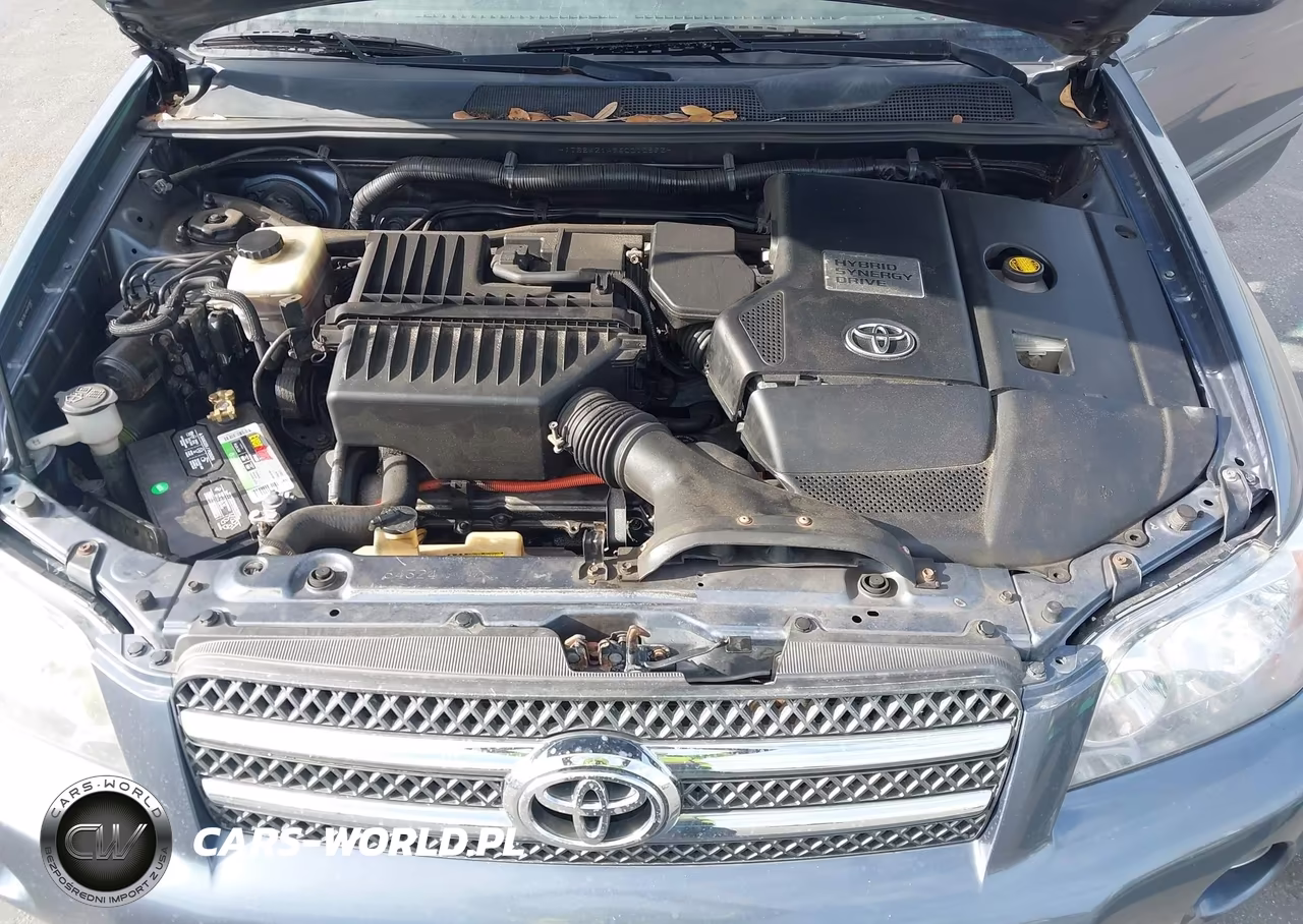 2006 Toyota Highlander Hybrid Limited V6 VIN:JTEEW21A960010893 - 10