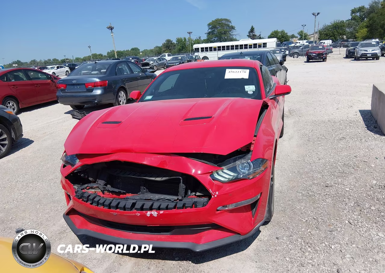 2019 Ford Mustang Ecoboost Premium VIN:1FA6P8TH3K5186439 - 12