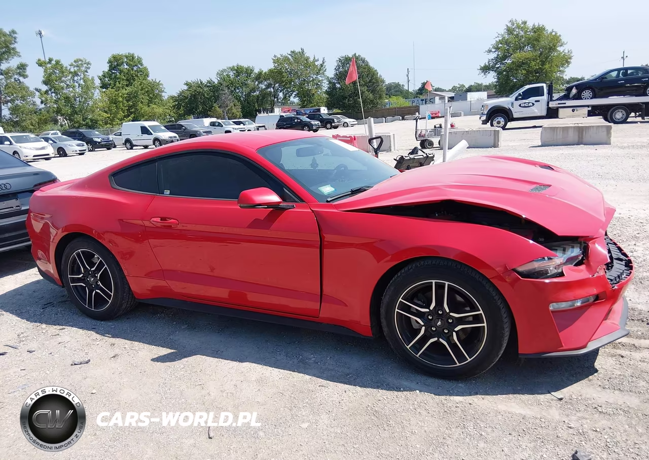 2019 Ford Mustang Ecoboost Premium VIN:1FA6P8TH3K5186439 - 13