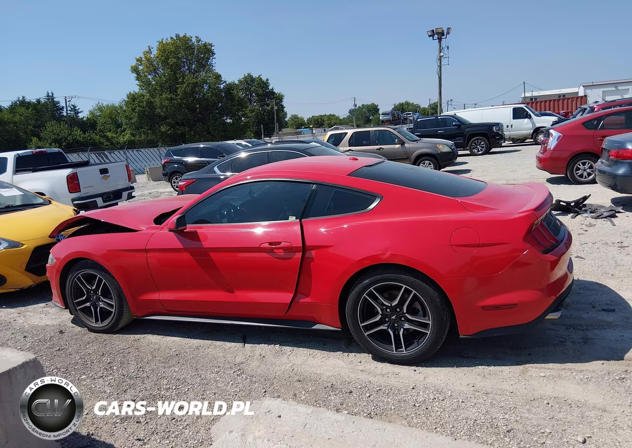 2019 Ford Mustang Ecoboost Premium VIN:1FA6P8TH3K5186439 - 14