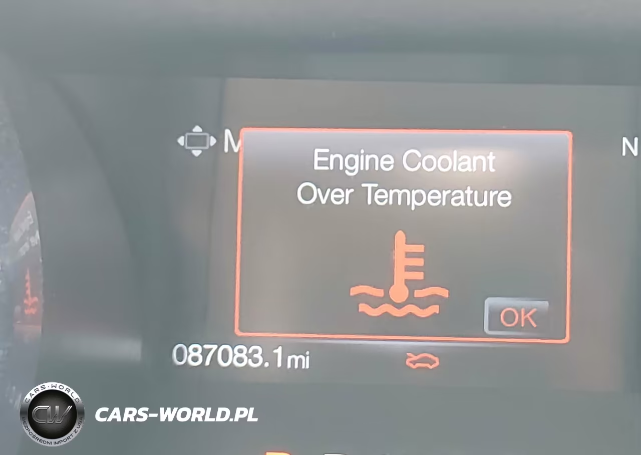 2019 Ford Mustang Ecoboost Premium VIN:1FA6P8TH3K5186439 - 15
