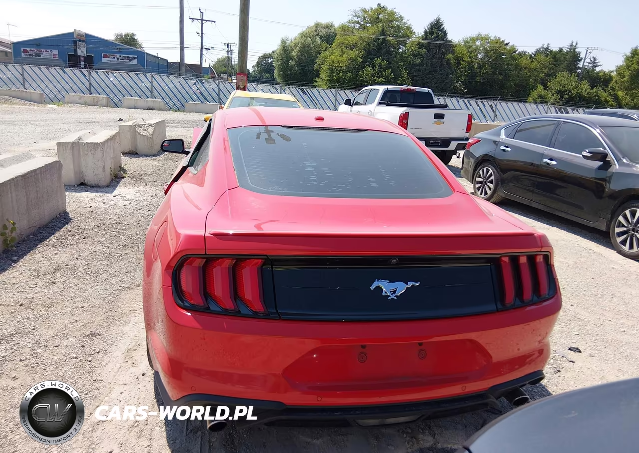 2019 Ford Mustang Ecoboost Premium VIN:1FA6P8TH3K5186439 - 16