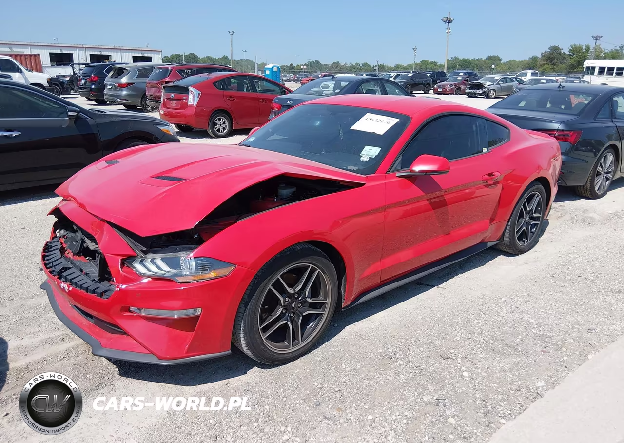 2019 Ford Mustang Ecoboost Premium VIN:1FA6P8TH3K5186439 - 2