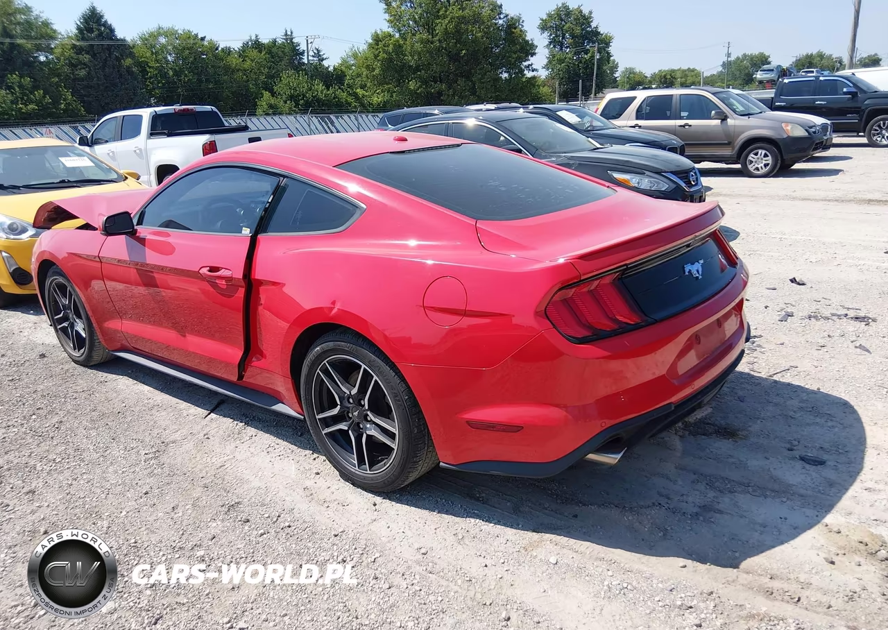2019 Ford Mustang Ecoboost Premium VIN:1FA6P8TH3K5186439 - 3