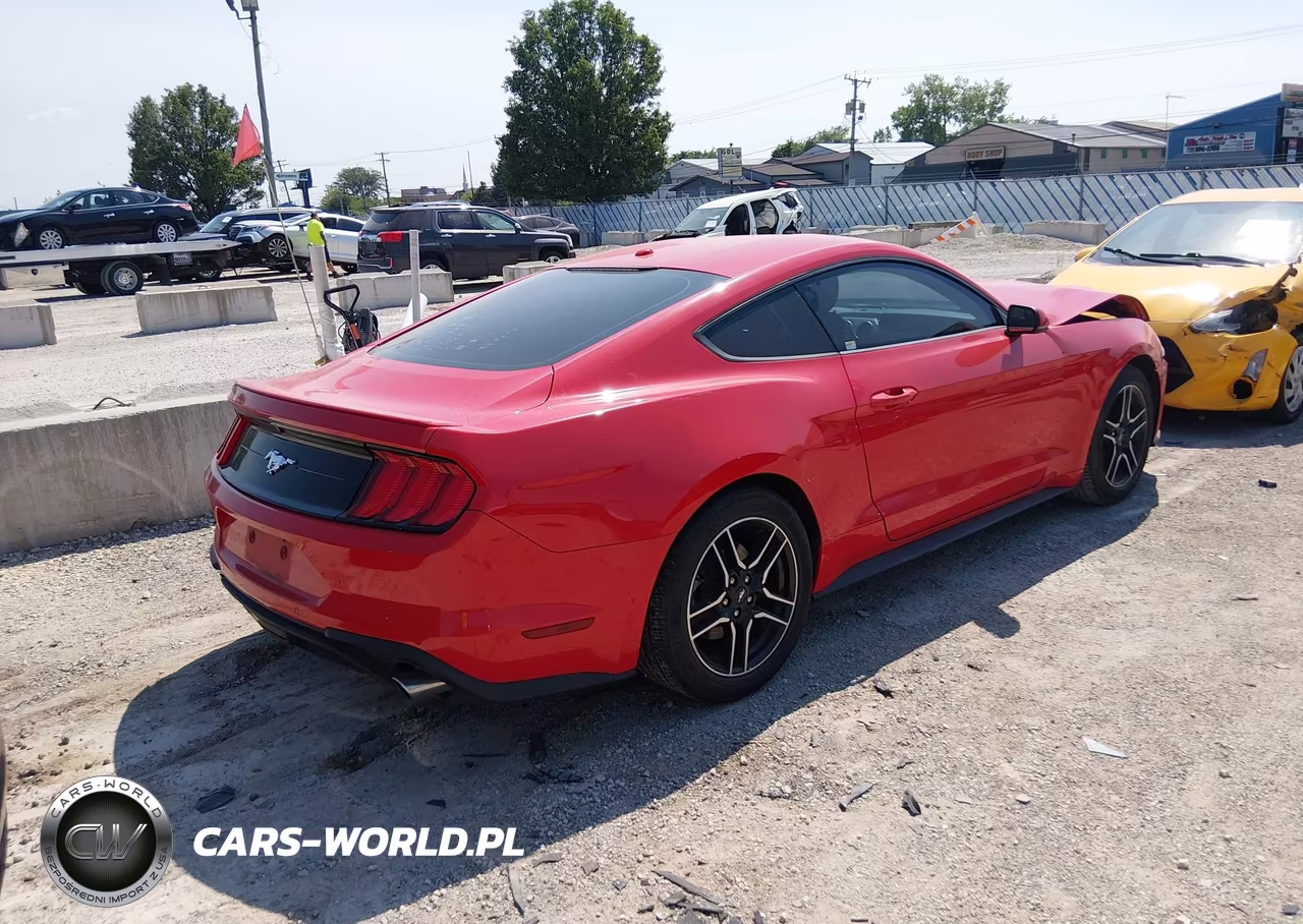 2019 Ford Mustang Ecoboost Premium VIN:1FA6P8TH3K5186439 - 4
