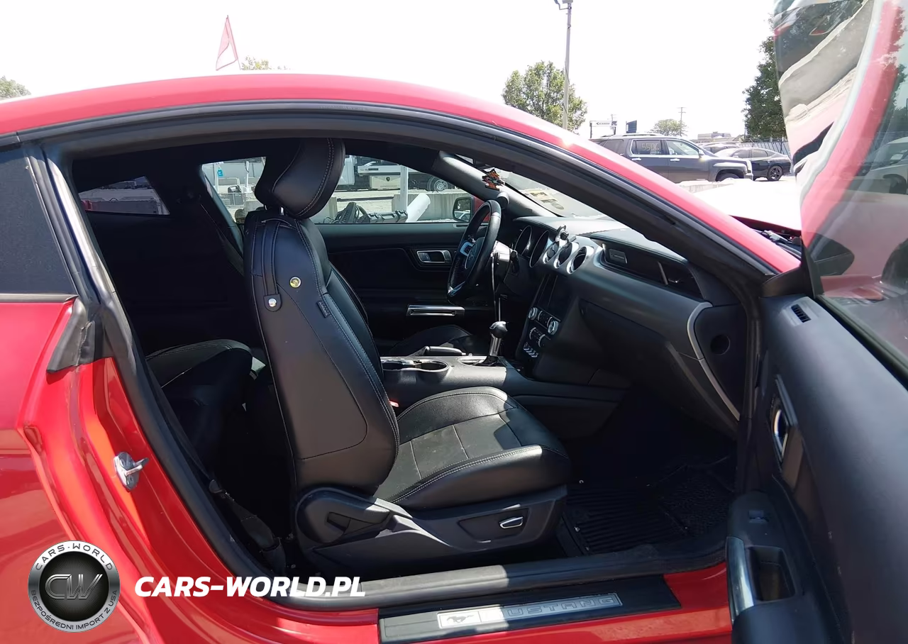 2019 Ford Mustang Ecoboost Premium VIN:1FA6P8TH3K5186439 - 5