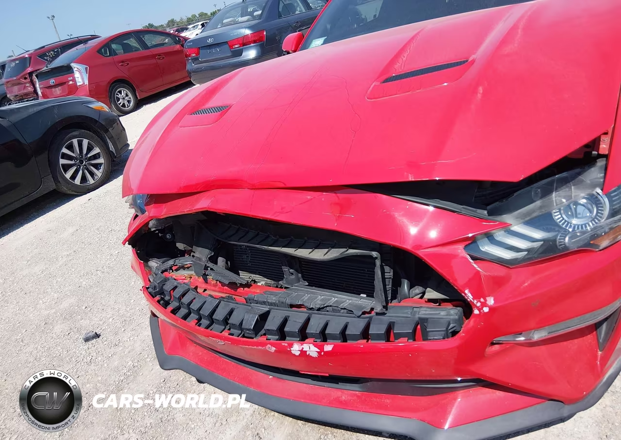 2019 Ford Mustang Ecoboost Premium VIN:1FA6P8TH3K5186439 - 6