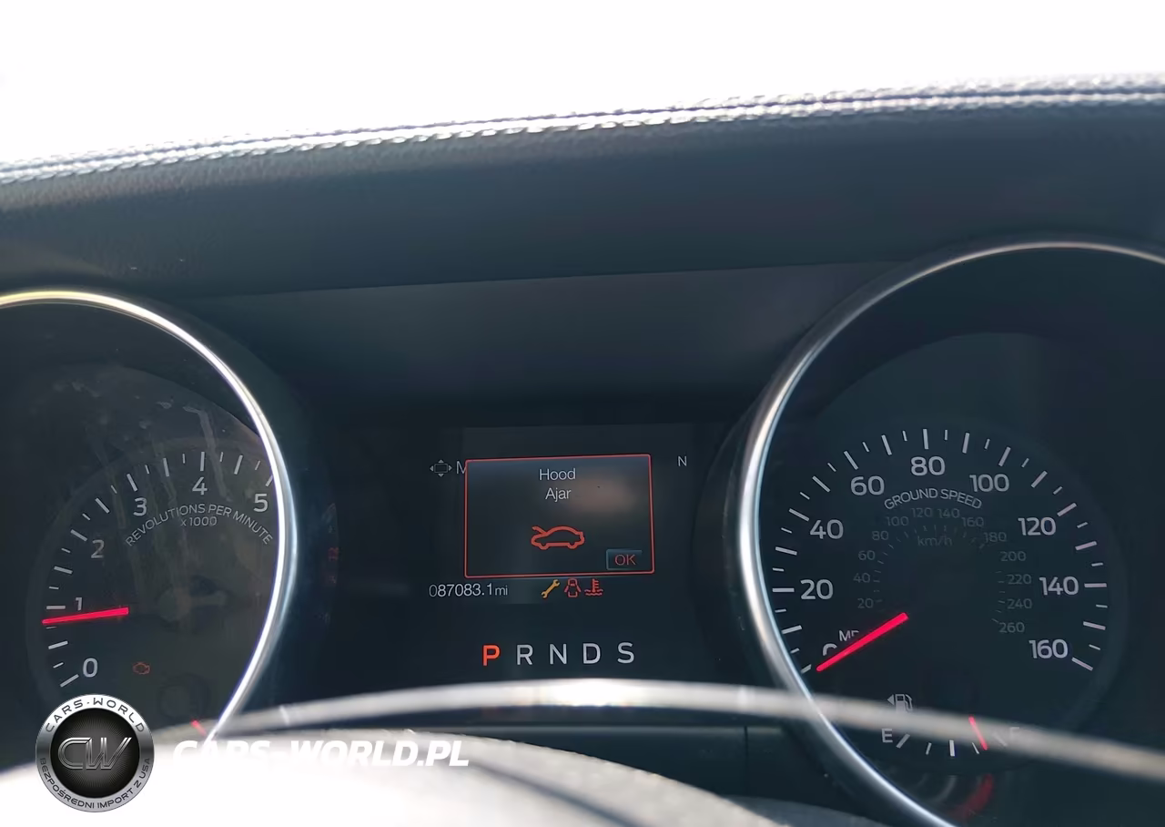2019 Ford Mustang Ecoboost Premium VIN:1FA6P8TH3K5186439 - 7