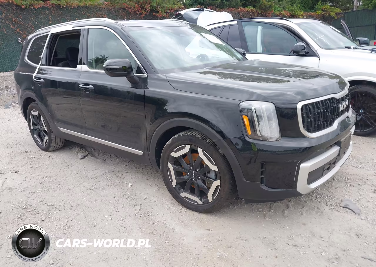 2025 Kia Telluride Ex VIN:5XYP3DGC4SG572179 - 1