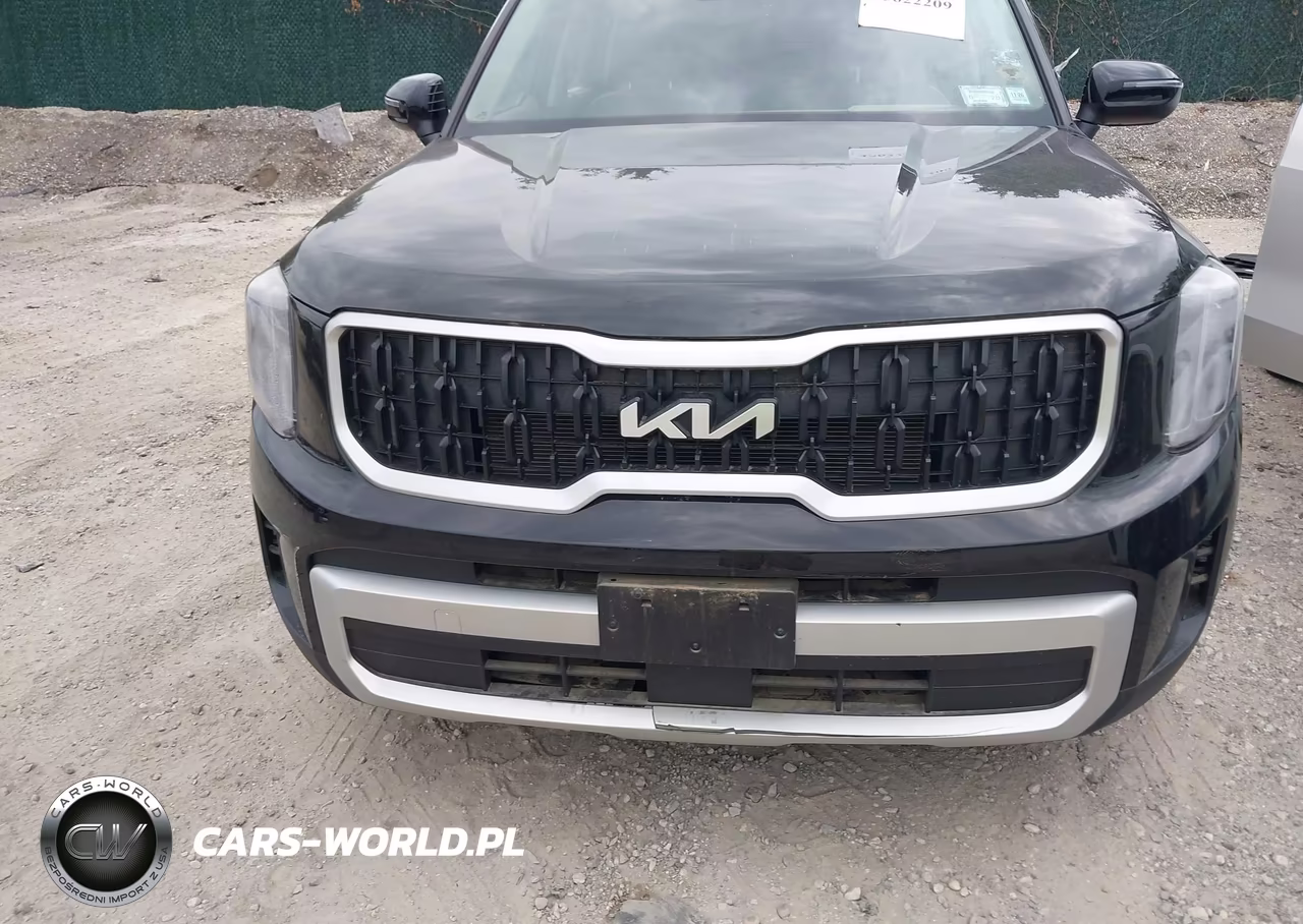 2025 Kia Telluride Ex VIN:5XYP3DGC4SG572179 - 12