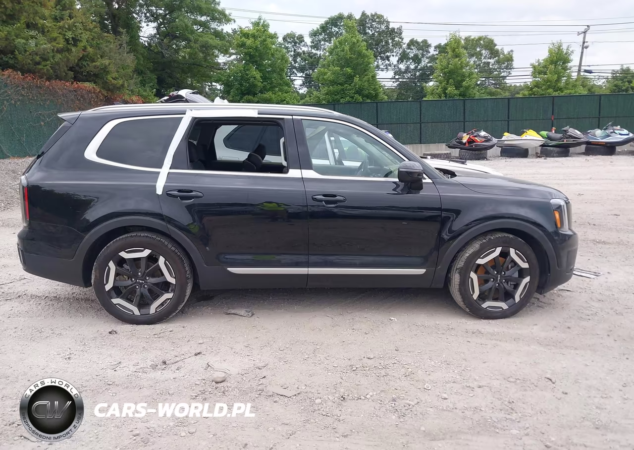 2025 Kia Telluride Ex VIN:5XYP3DGC4SG572179 - 13