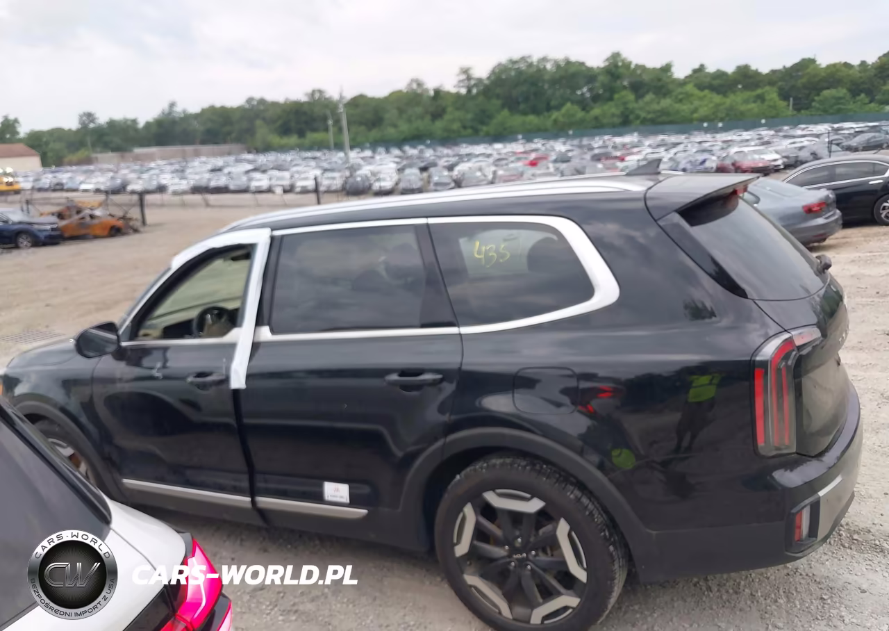 2025 Kia Telluride Ex VIN:5XYP3DGC4SG572179 - 14