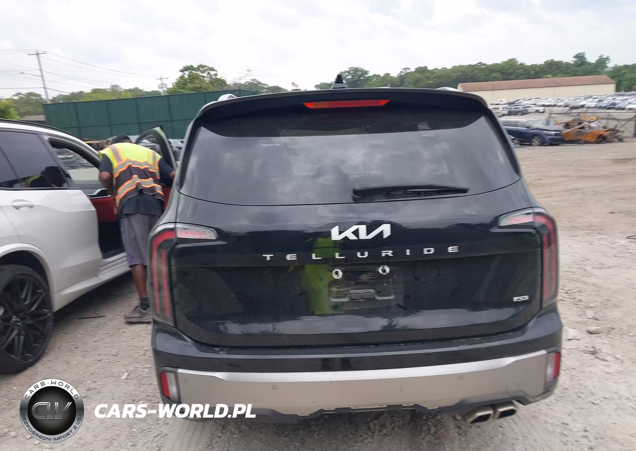 2025 Kia Telluride Ex VIN:5XYP3DGC4SG572179 - 16