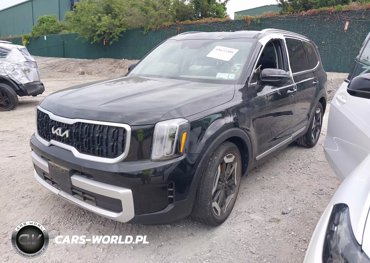 2025 Kia Telluride Ex VIN:5XYP3DGC4SG572179 - 2