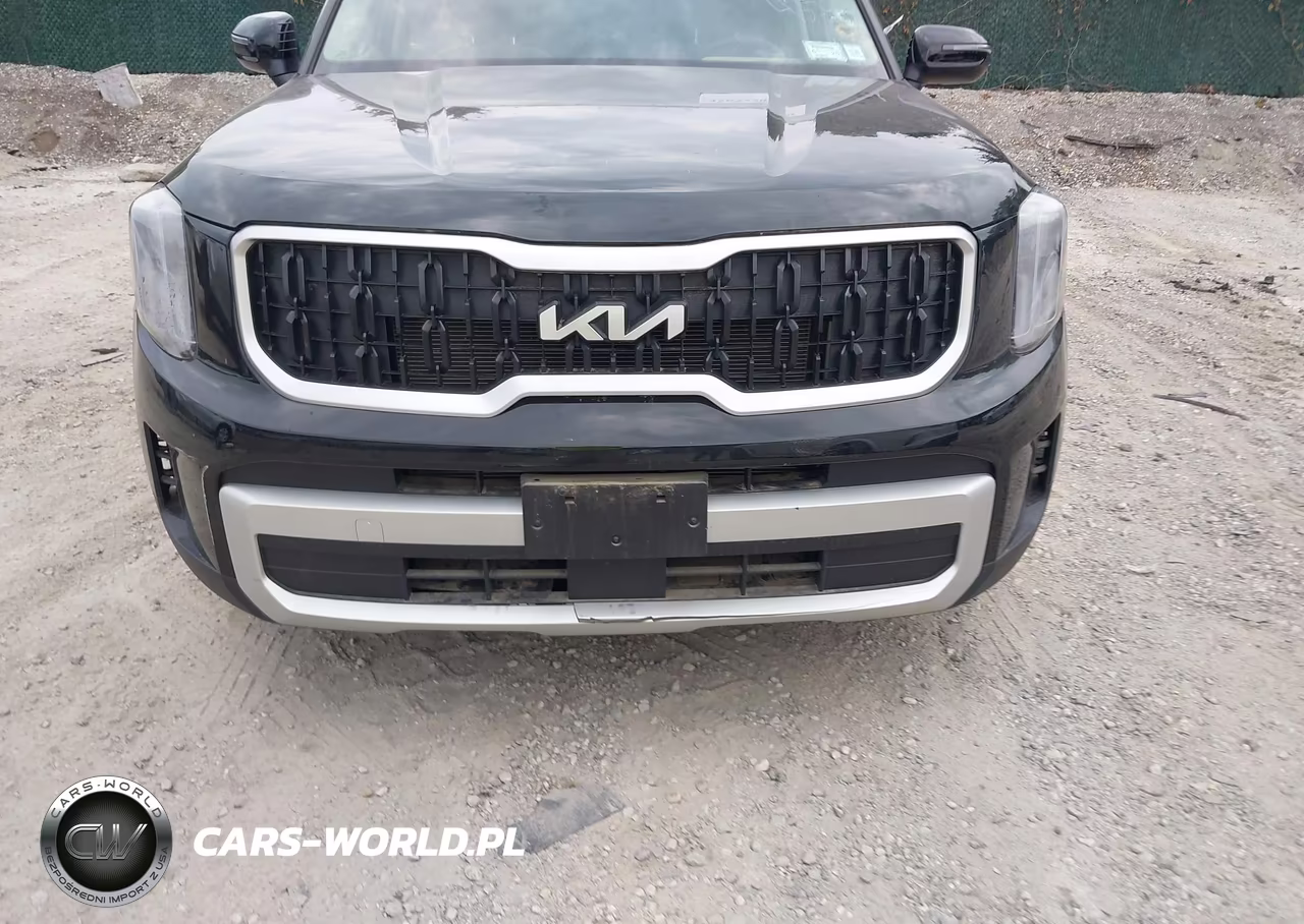 2025 Kia Telluride Ex VIN:5XYP3DGC4SG572179 - 6