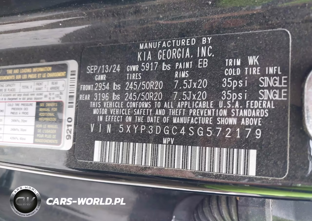 2025 Kia Telluride Ex VIN:5XYP3DGC4SG572179 - 9