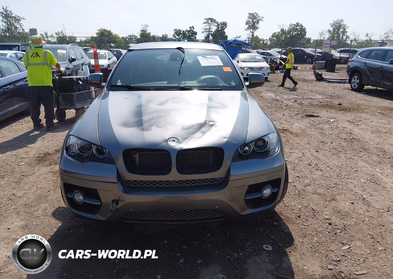 2012 BMW X6 xDrive50I VIN:5UXFG8C5XCL590771 - 12