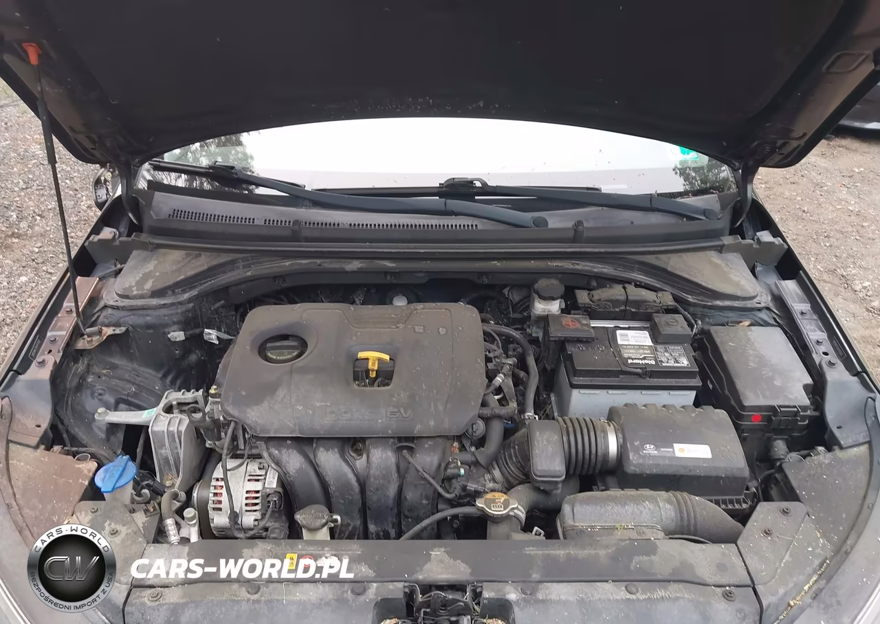 2019 Hyundai Elantra Sel VIN:5NPD84LF5KH412650 - 10