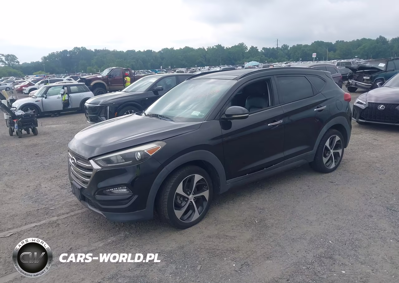 2016 Hyundai Tucson Limited VIN:KM8J3CA23GU070281 - 2