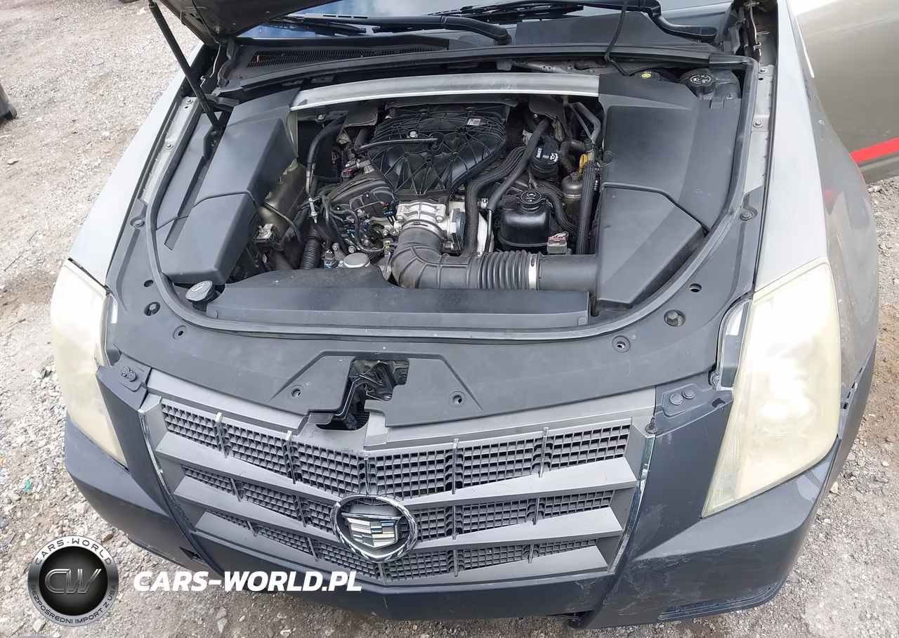 2010 Cadillac Cts Luxury VIN:1G6DE5EG6A0109783 - 10