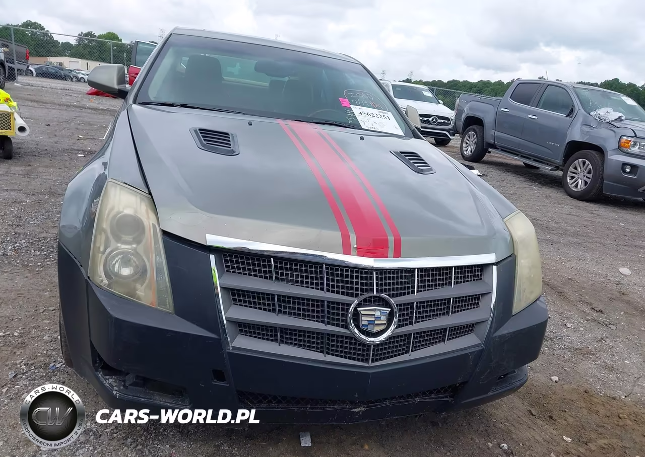 2010 Cadillac Cts Luxury VIN:1G6DE5EG6A0109783 - 13